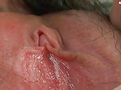 Hairy aonair na háise conarthacha agus fliuch